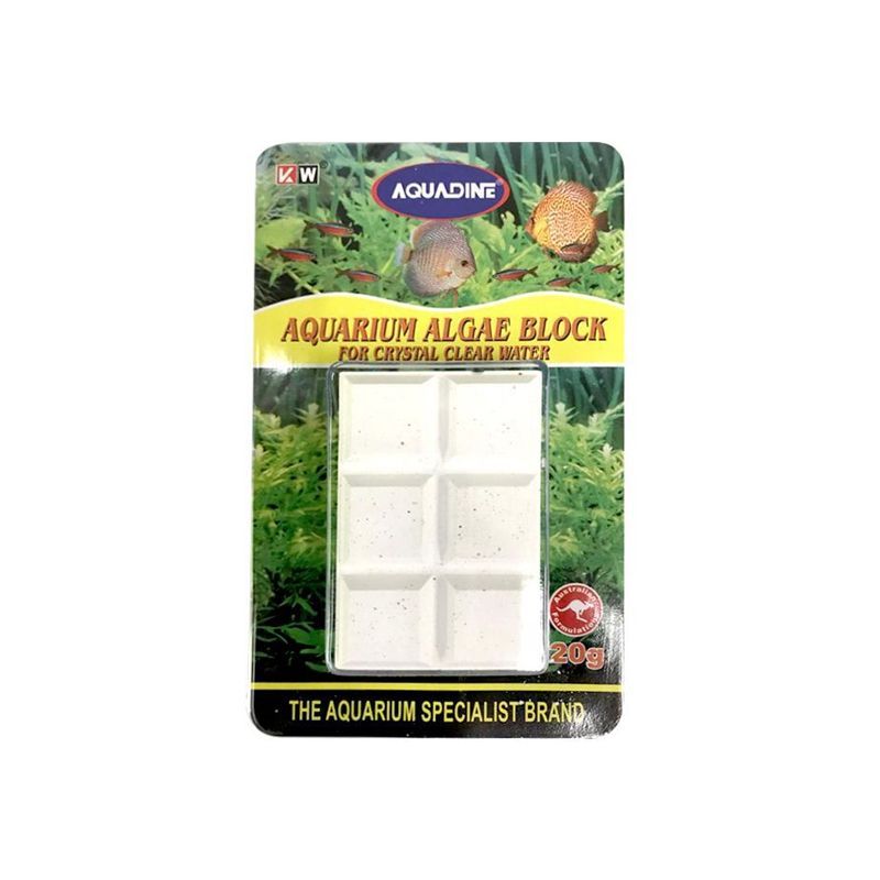 Aquarium Algae Blocks