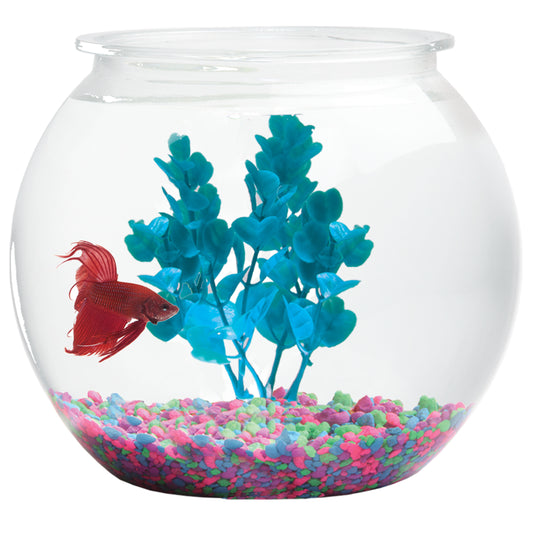 Gold fish starter Kit