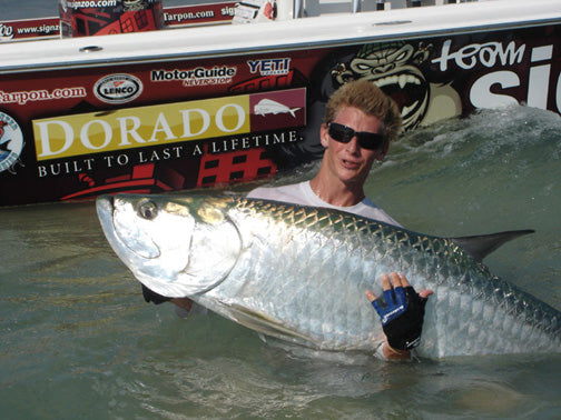 Tarpons