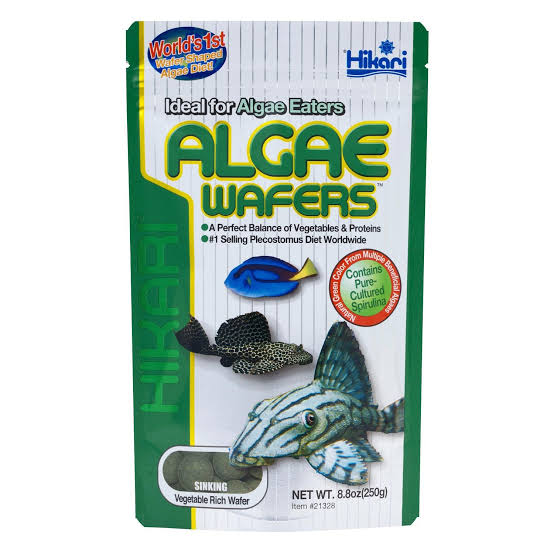 Hikari Algae wafers