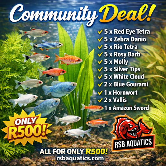 Community Special R500 (Fire-Sale)