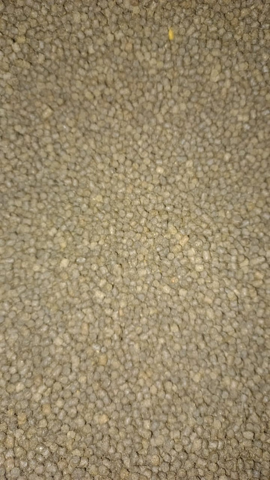 Gene 5 predator 3mm
