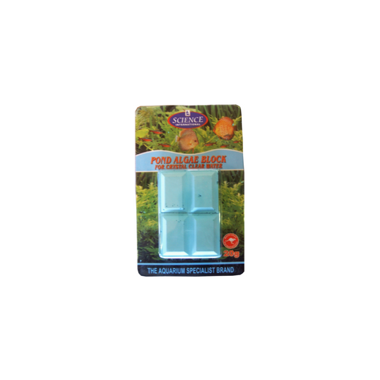 POND ALGAE BLOCK 20g – TREATS 800L WATER