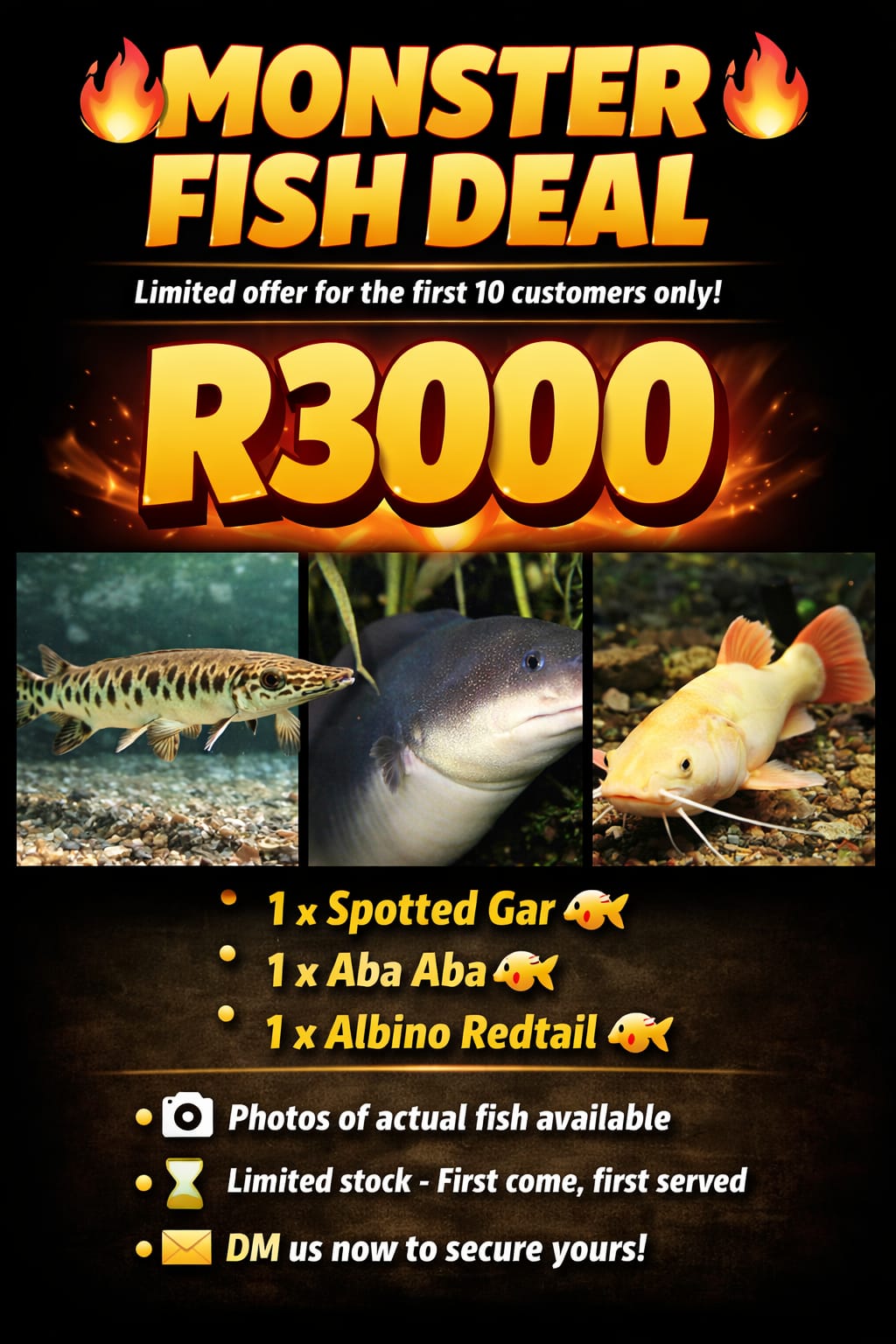 Monster Fish Deal