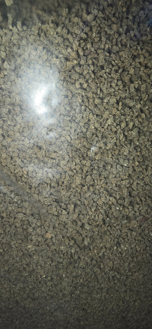 Gene 5 crumble