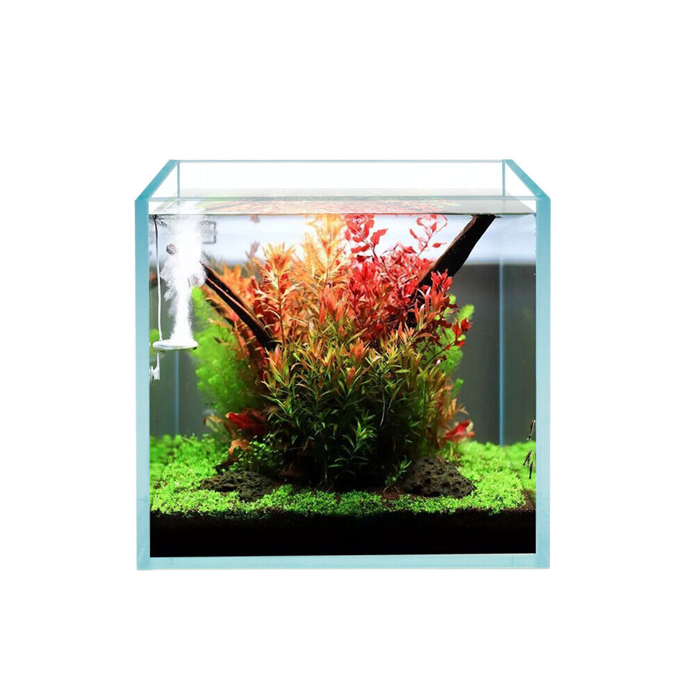 Aquarium All Glass Tank