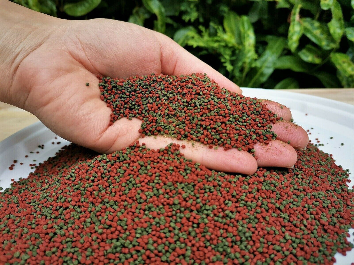 Floating Pond Pellets